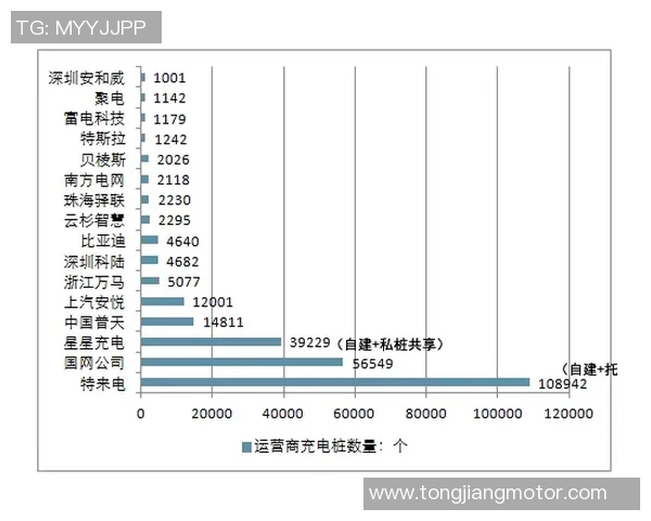 重庆排球队的运营策略深度分析与发展前景展望